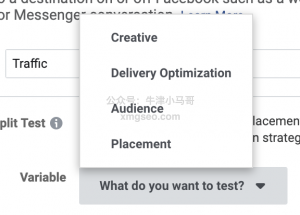 Facebook广告控制变量选项
