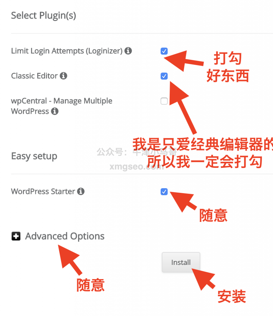 Wordpress安装选择插件和高级选项