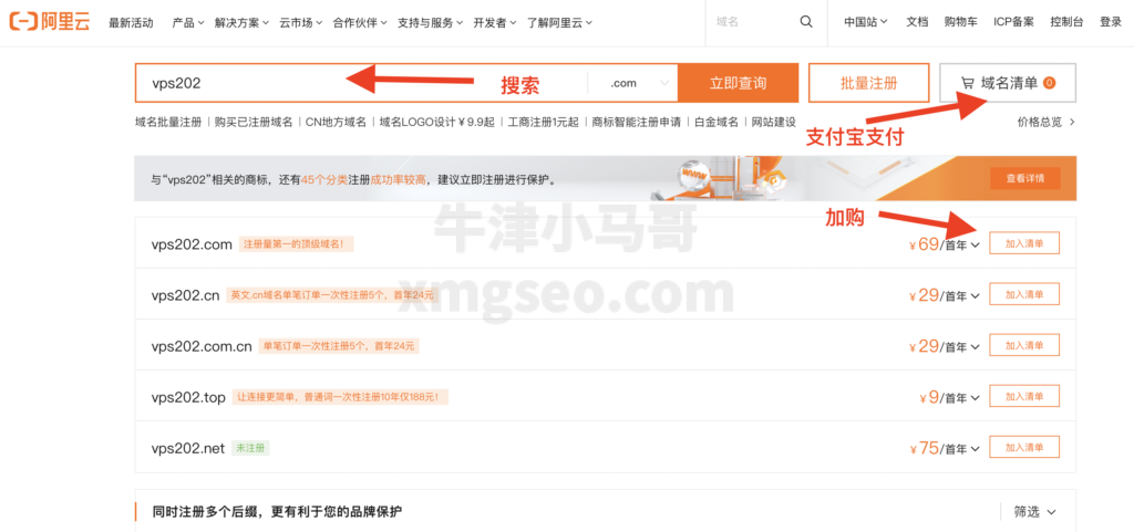 选择购买阿里云的域名